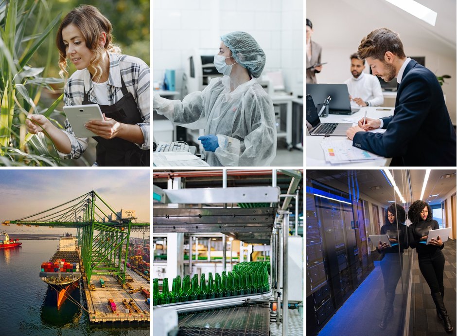 Collage de seis sectores atendidos por Xpears: agroindustria, salud y farma, servicios profesionales, logística, industria y packaging, y TI administrado